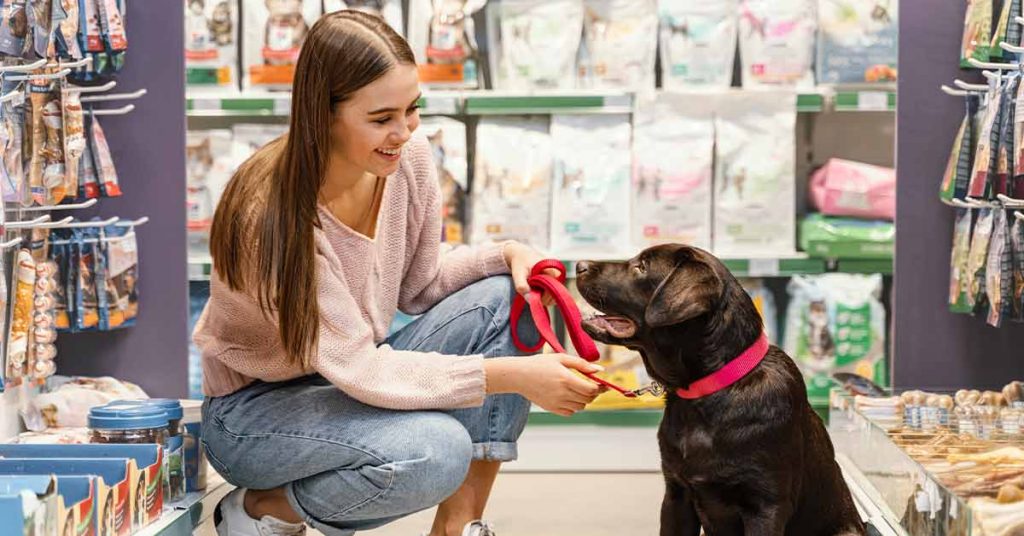 Conectados aos animais: Câmeras de segurança com áudio bidirecional em pet shops!