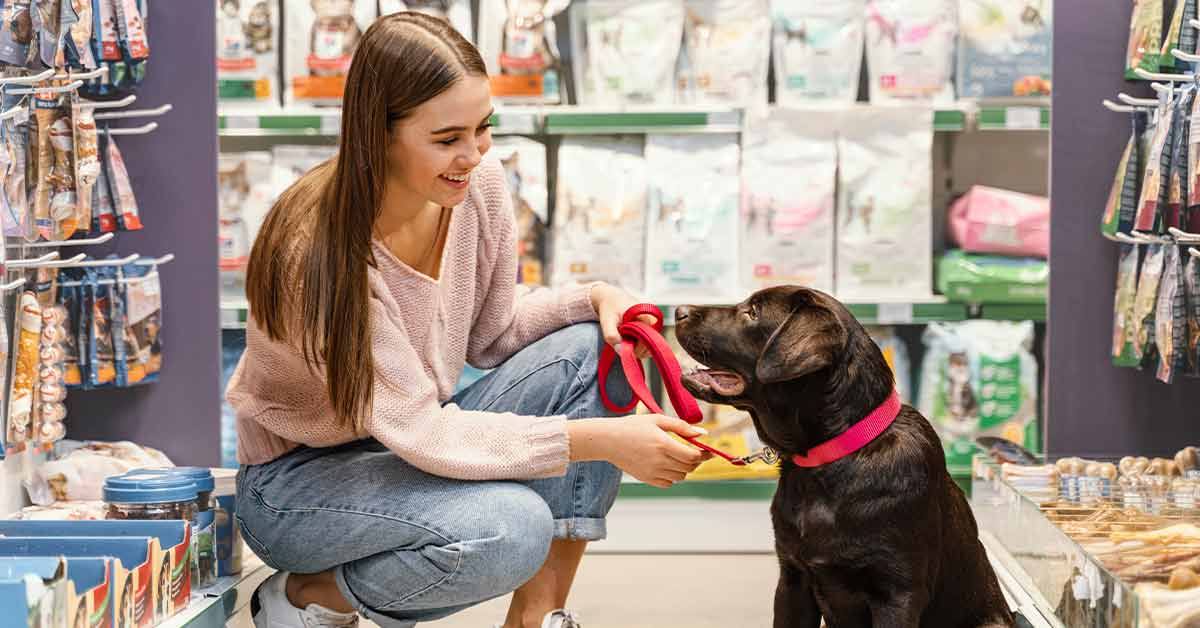 Câmera de segurança com áudio bidirecional em pet shop